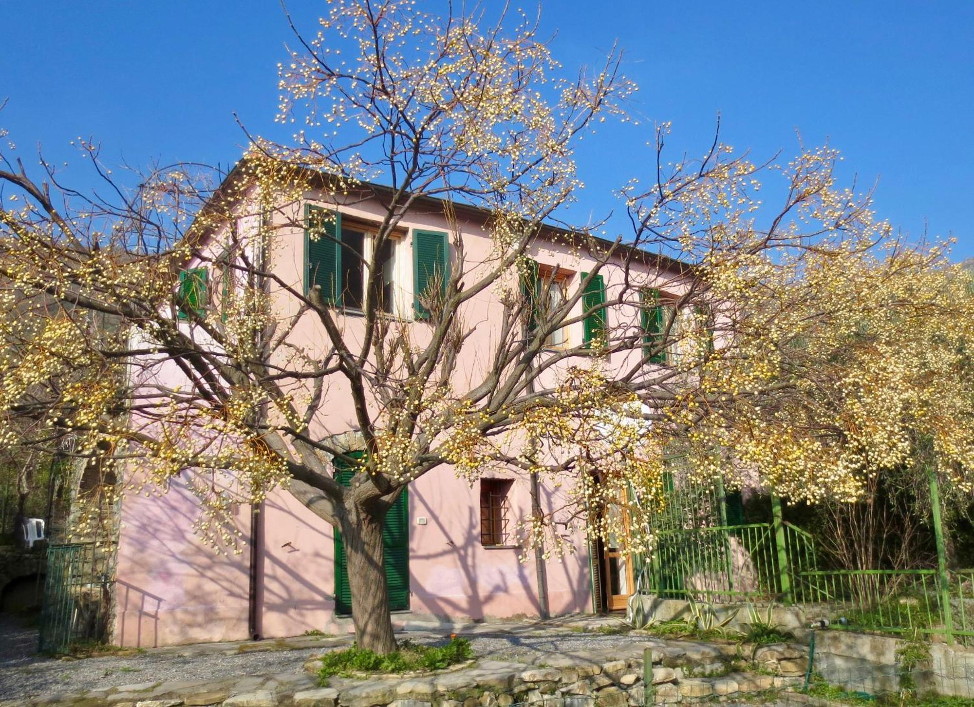 Ferienwohnung Borgata Castello Chiusanico Exterior foto